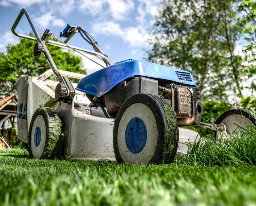 https://rhinowebllc.com/abels-lawncare/wp-content/uploads/2025/04/about.jpg