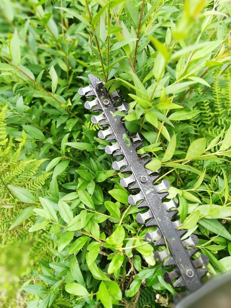 A gardener cuts the grass in a backyard.