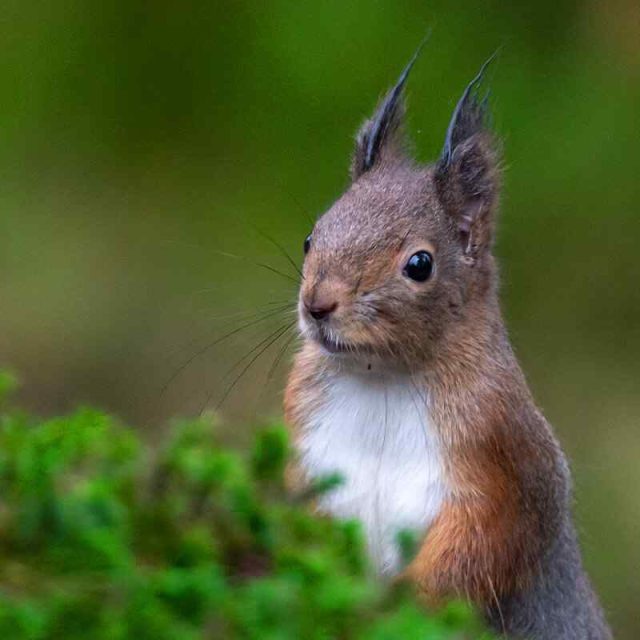 https://rhinowebllc.com/aeg-environmental/wp-content/uploads/2022/03/image_07_home_03-640x640.jpg