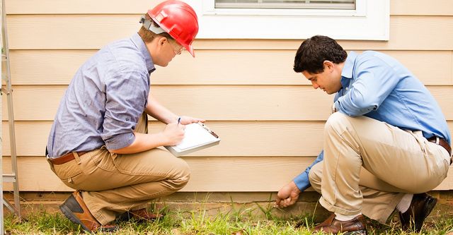 Rodent Pest Control Solutions