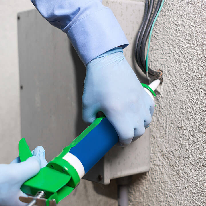 Exclusion-Caulking Exclusion-Caulking