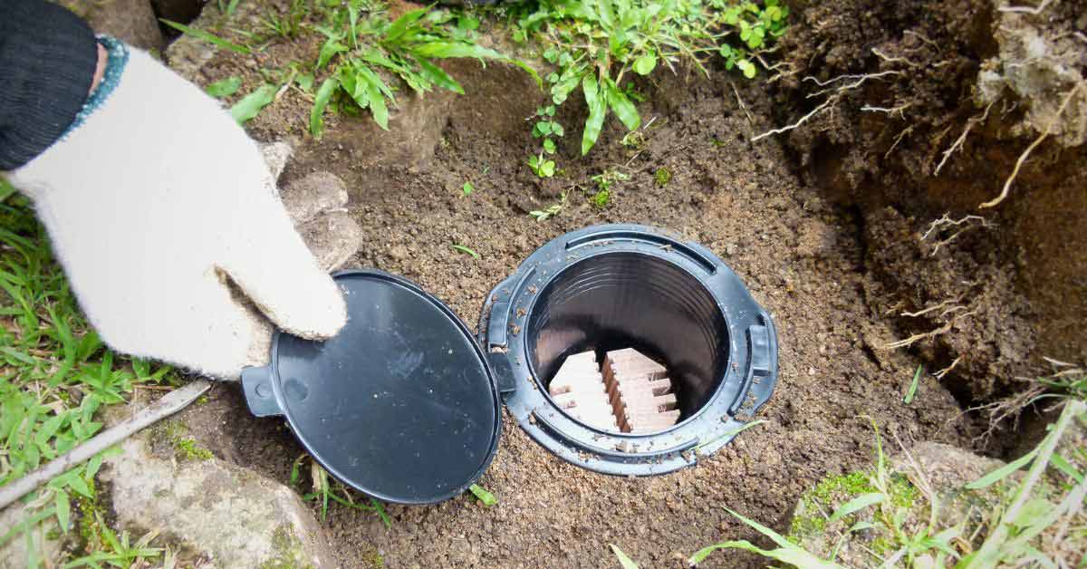 termite-baiting-system
