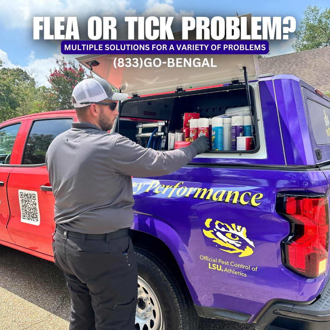 459324559_122117369426431877_2108085865574645890_n https://rhinowebllc.com/bengal-exterminators/wp-content/uploads/2024/11/459324559_122117369426431877_2108085865574645890_n.jpg
