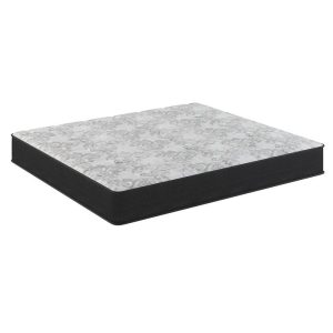 https://rhinowebllc.com/br-mattress/wp-content/uploads/2025/02/Capital-Select-Mattress-Queen-300x300.jpg