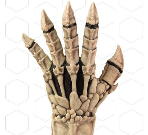 GLOVES