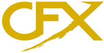 CFX - Lifelike Silicone Masks