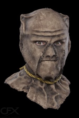 Cobb Cover4x6 https://rhinowebllc.com/cfx-masks/wp-content/uploads/2024/06/Cobb-Cover4x6-300x450.jpg
