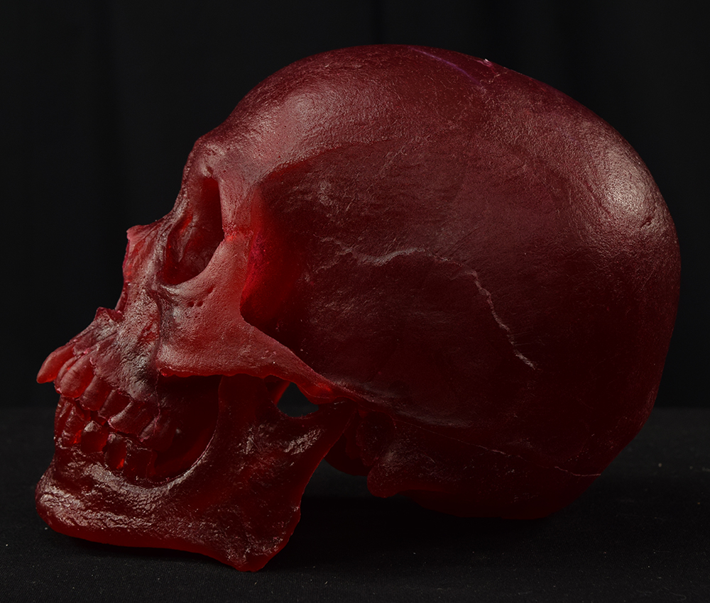 Mr. Wang Skull - Image 3