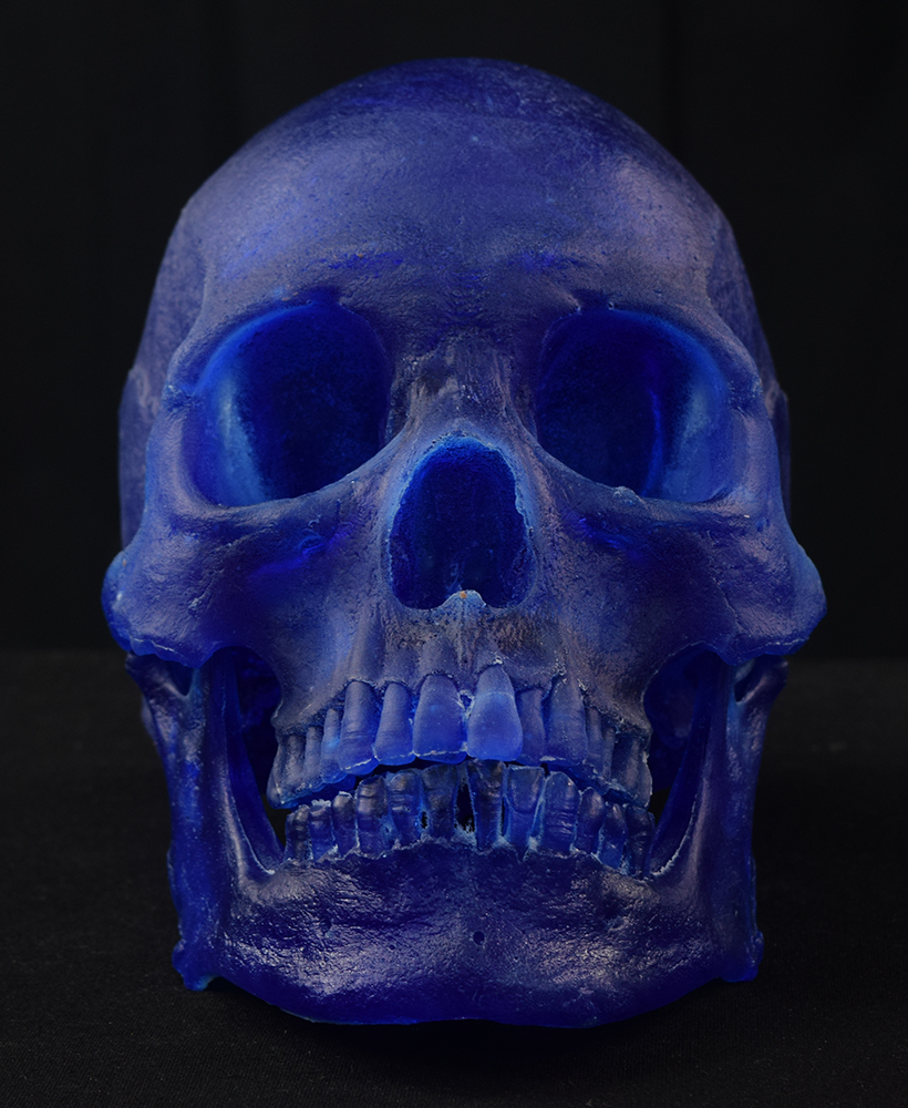 Mr. Wang Skull - Image 5