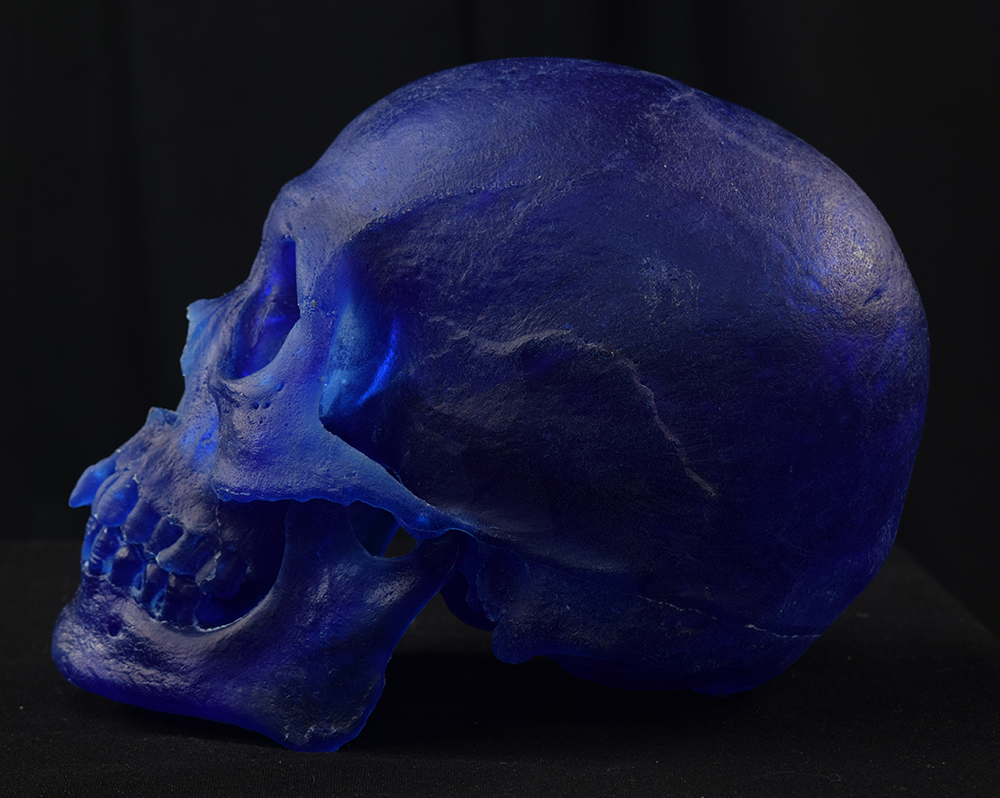 Mr. Wang Skull - Image 6