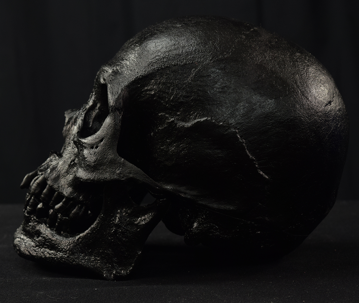 Mr. Wang Skull - Image 9