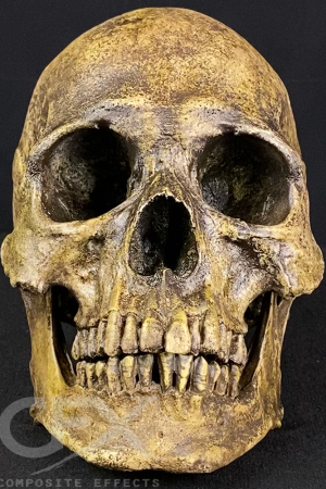 IMG_5436.png https://rhinowebllc.com/cfx-masks/wp-content/uploads/2024/06/IMG_5436-300x450.png