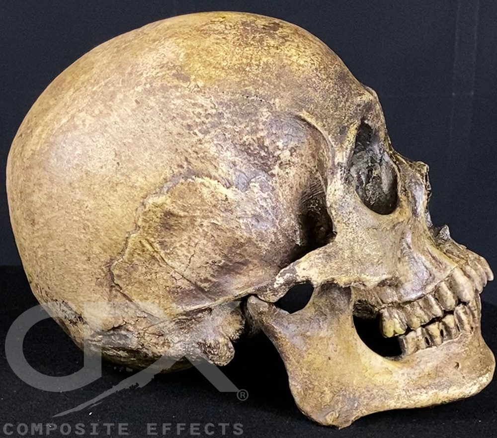 Mr. Wang Skull - Image 21