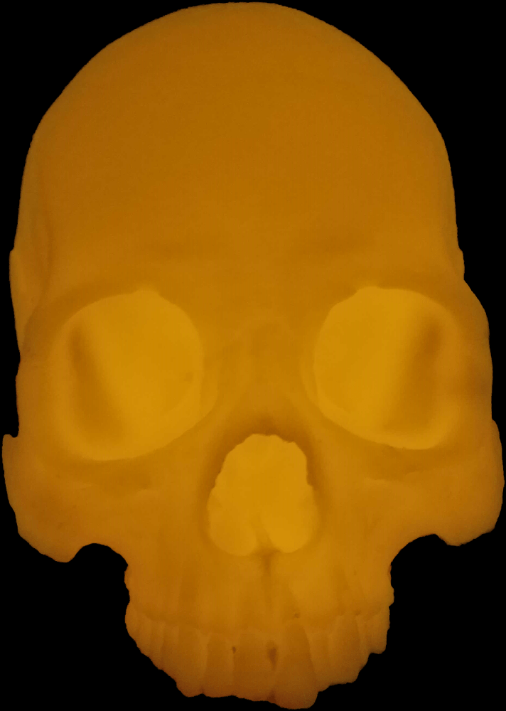 Mr. Wang Skull - Image 14
