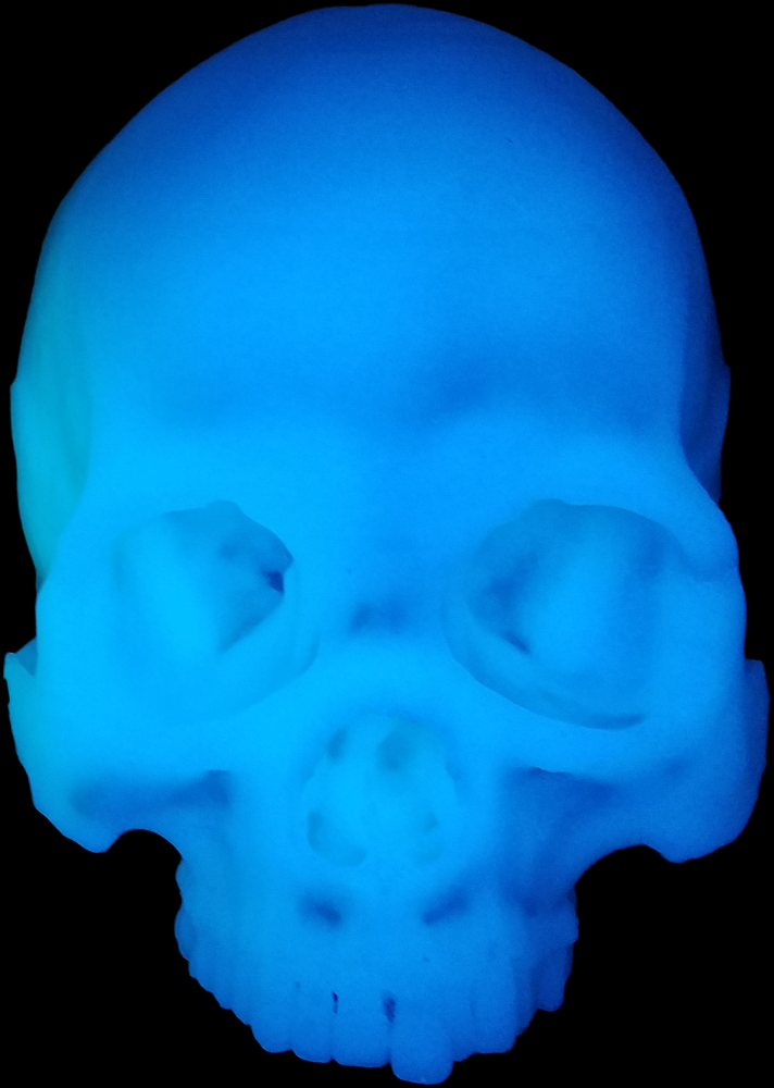 Mr. Wang Skull - Image 16