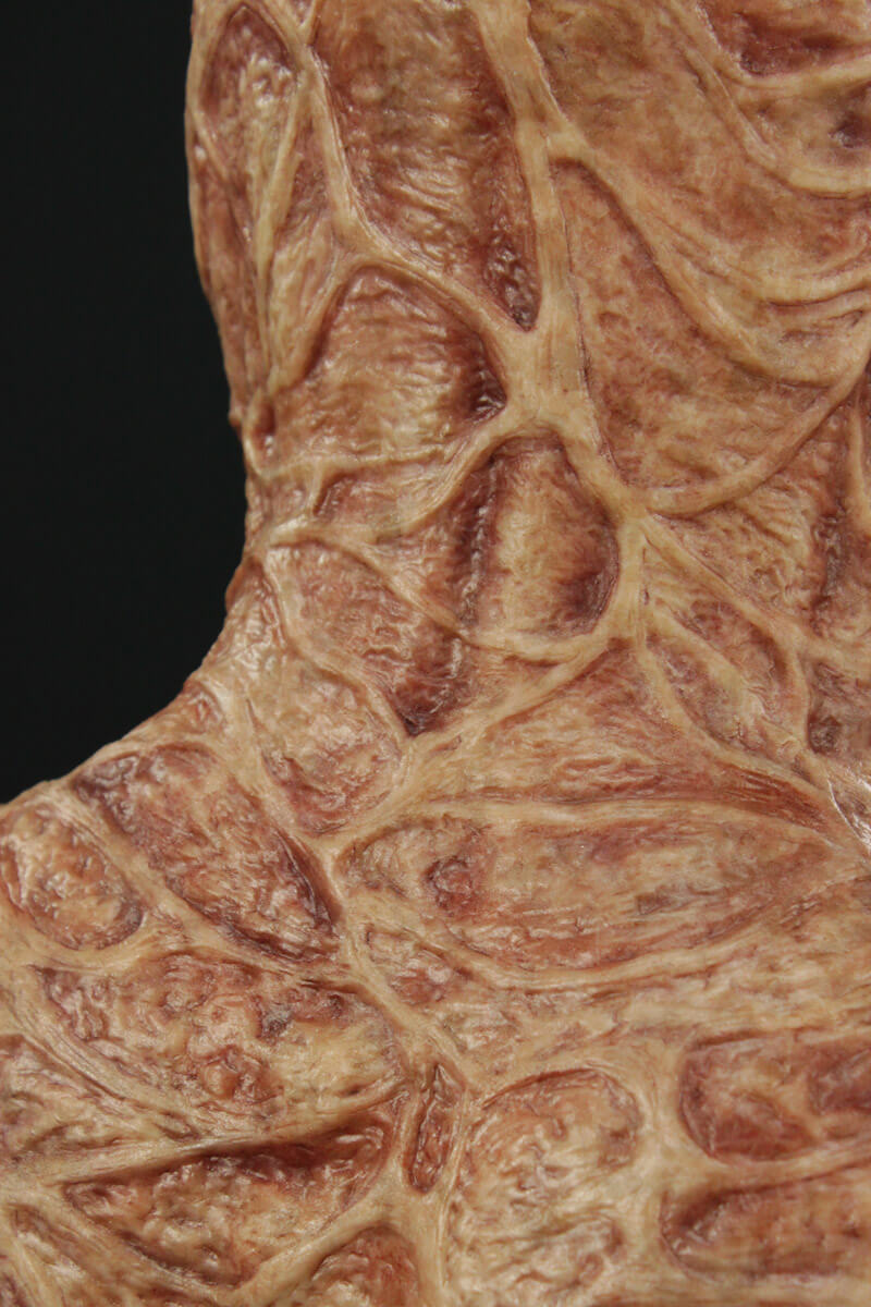 Third-Degree Burnie Silicone Mask (Clown) - Image 11