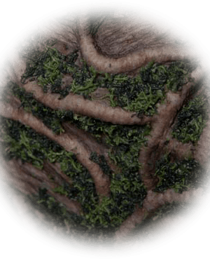 cover-7.png https://rhinowebllc.com/cfx-masks/wp-content/uploads/2024/06/cover-7-300x369.png
