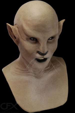 cover_bast4x6 https://rhinowebllc.com/cfx-masks/wp-content/uploads/2024/06/cover_bast4x6-300x450.jpg