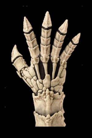 https://rhinowebllc.com/cfx-masks/wp-content/uploads/2024/06/gloves-neph-300x450.jpg