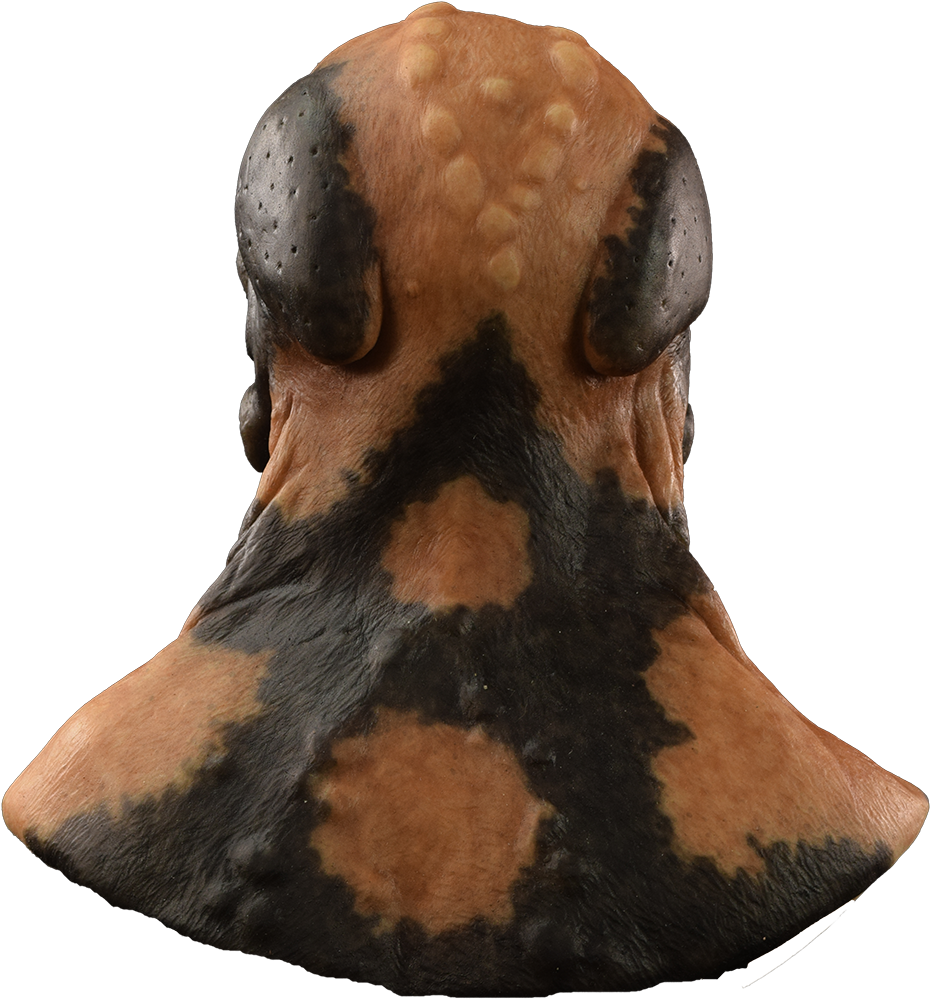 Jeremiah the Bullfrog Silicone Mask - Image 8