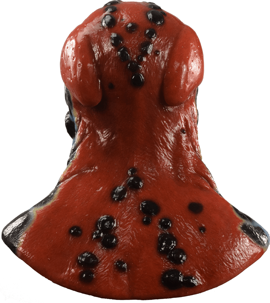 Jeremiah the Bullfrog Silicone Mask - Image 16