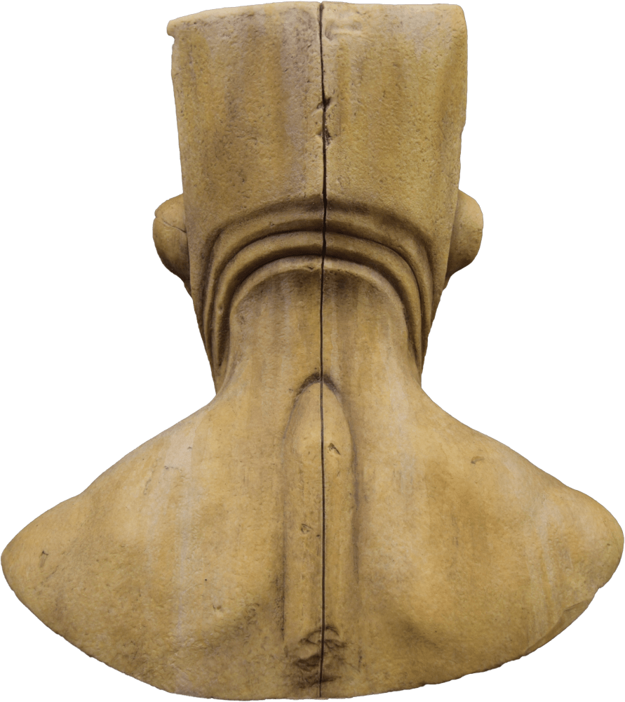 Sentinel Silicone Mask - Image 4