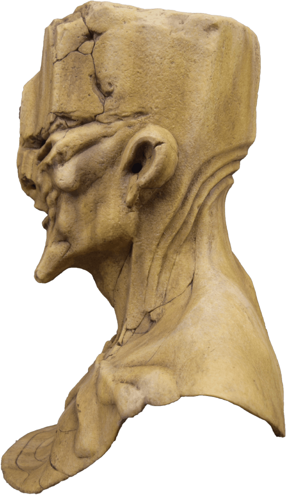 Sentinel Silicone Mask - Image 3