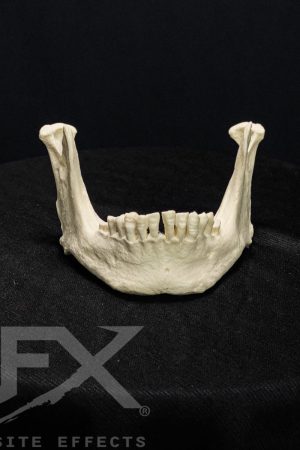 File_004-e1614968327158.jpg https://rhinowebllc.com/cfx-masks/wp-content/uploads/2024/07/File_004-e1614968327158-300x450.jpg
