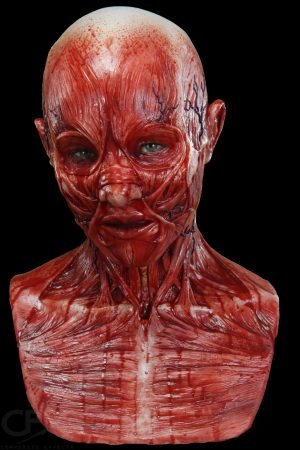 https://rhinowebllc.com/cfx-masks/wp-content/uploads/2024/07/Flayed-Julia-Cover4x6-300x450.jpg