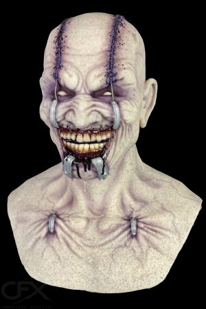 https://rhinowebllc.com/cfx-masks/wp-content/uploads/2024/07/Forced-Smile-Cover-4x6-1-300x450.jpg