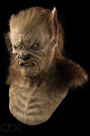 https://rhinowebllc.com/cfx-masks/wp-content/uploads/2024/07/Lupus-COver-4x6-1-300x450.jpg