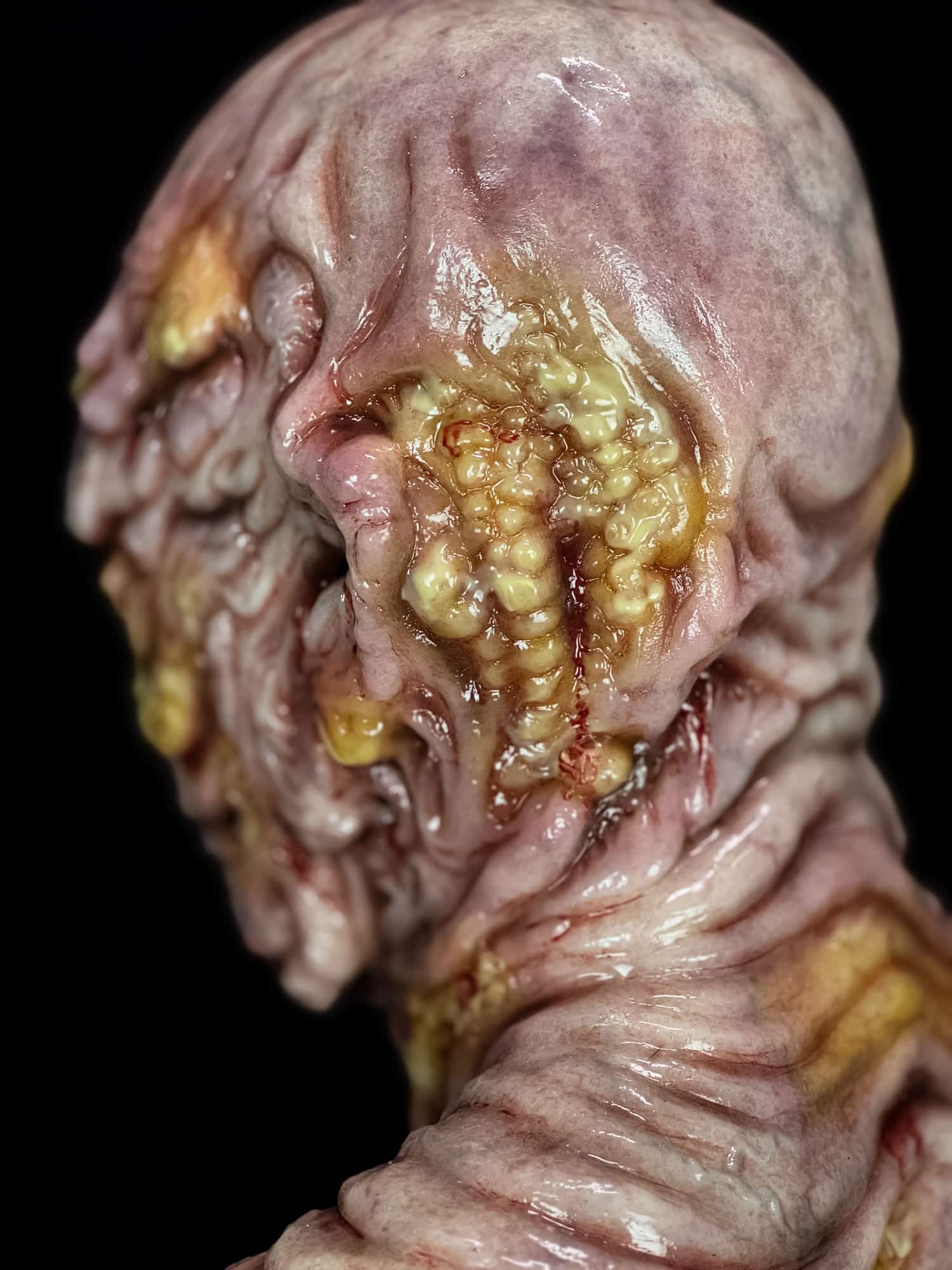 Mel T. Friedman Silicone Mask - Image 20