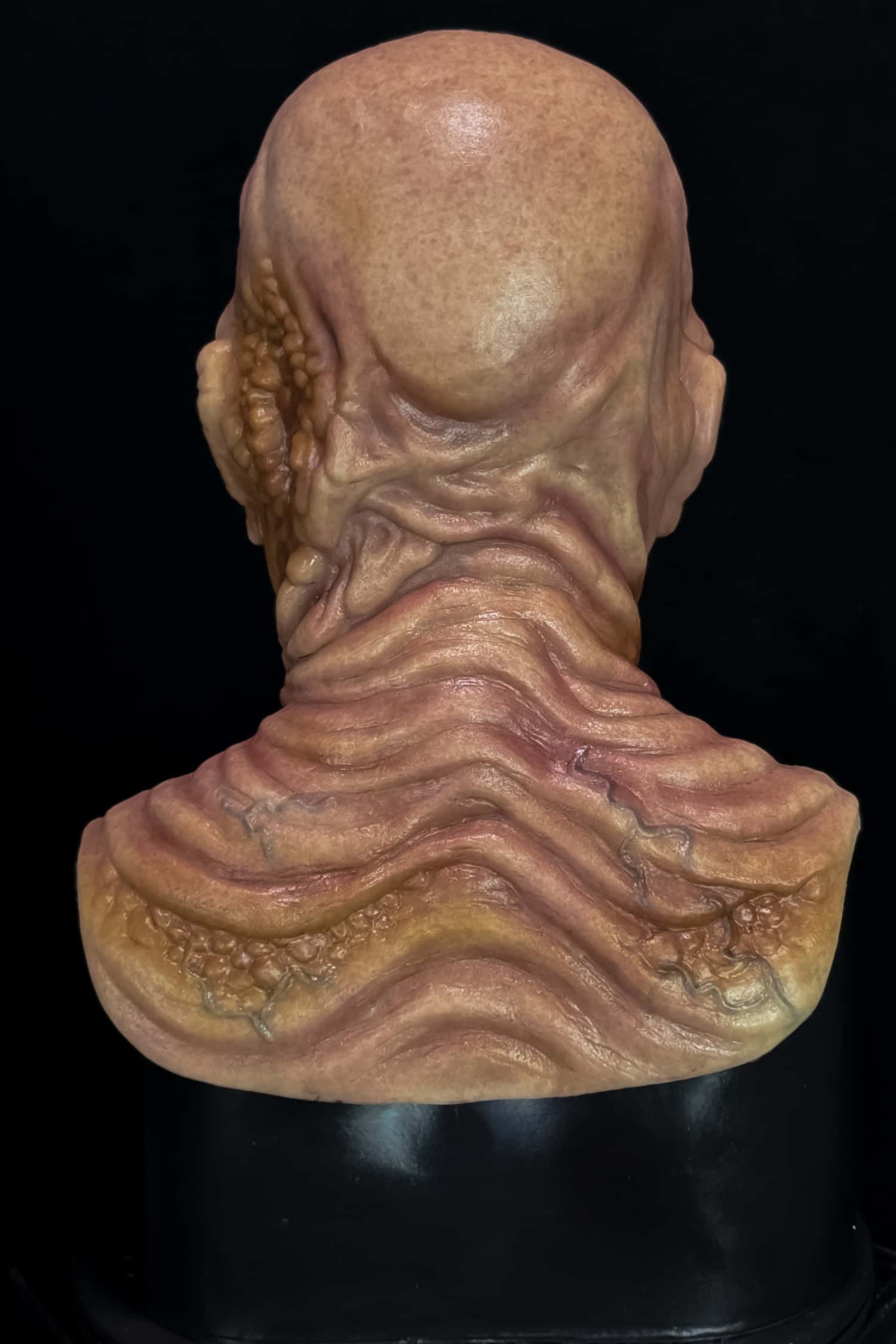 Mel T. Friedman Silicone Mask - Image 25