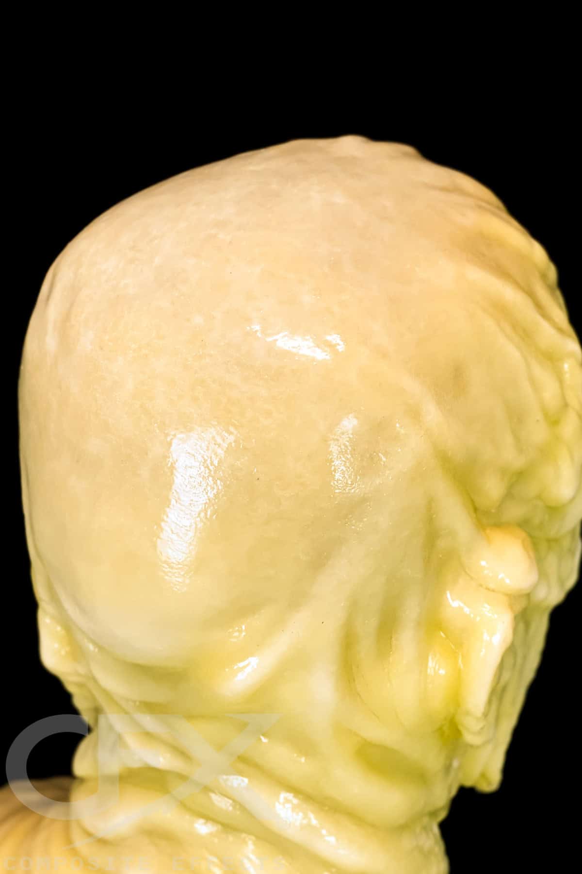 Mel T. Friedman Silicone Mask - Image 29