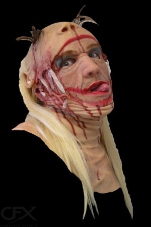 https://rhinowebllc.com/cfx-masks/wp-content/uploads/2024/07/Nothing-to-Gein-Cover-4x6-1-300x450.jpg