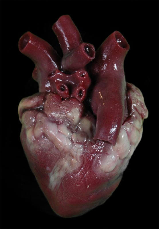 Heart (Silicone)