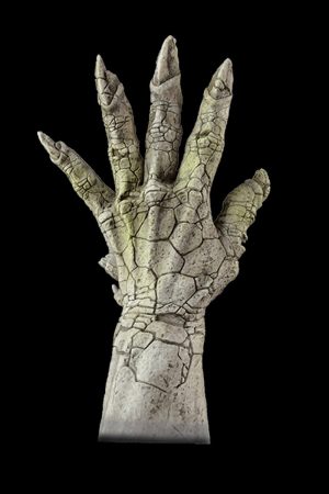 https://rhinowebllc.com/cfx-masks/wp-content/uploads/2024/07/gloves-gargoyle-300x450.jpg