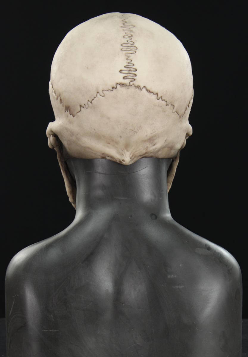 Skull Silicone Hood - Image 14