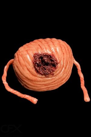 Bladder 4x6 https://rhinowebllc.com/cfx-masks/wp-content/uploads/2024/08/Bladder-4x6-1-300x450.jpg