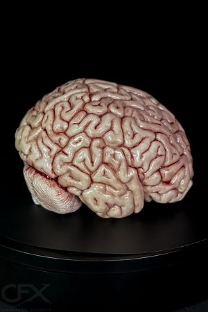 Brain Fresh (2024 Update) https://rhinowebllc.com/cfx-masks/wp-content/uploads/2024/08/Brain-Fresh-2024-Update-300x450.jpg