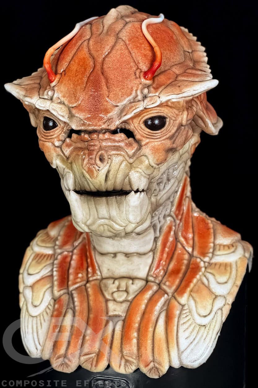 Cancer Silicone Mask - Image 20