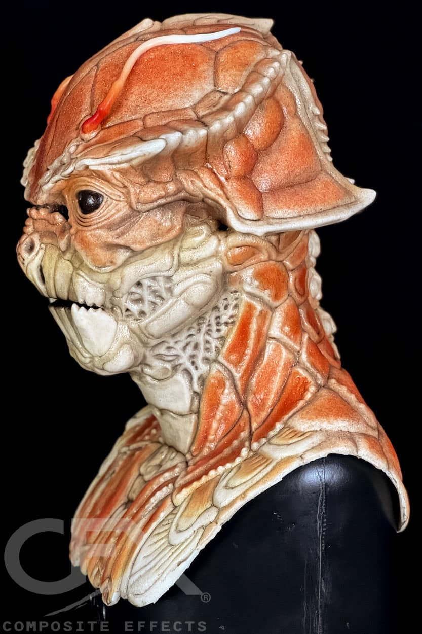 Cancer Silicone Mask - Image 21