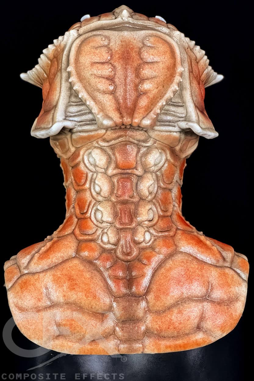Cancer Silicone Mask - Image 22