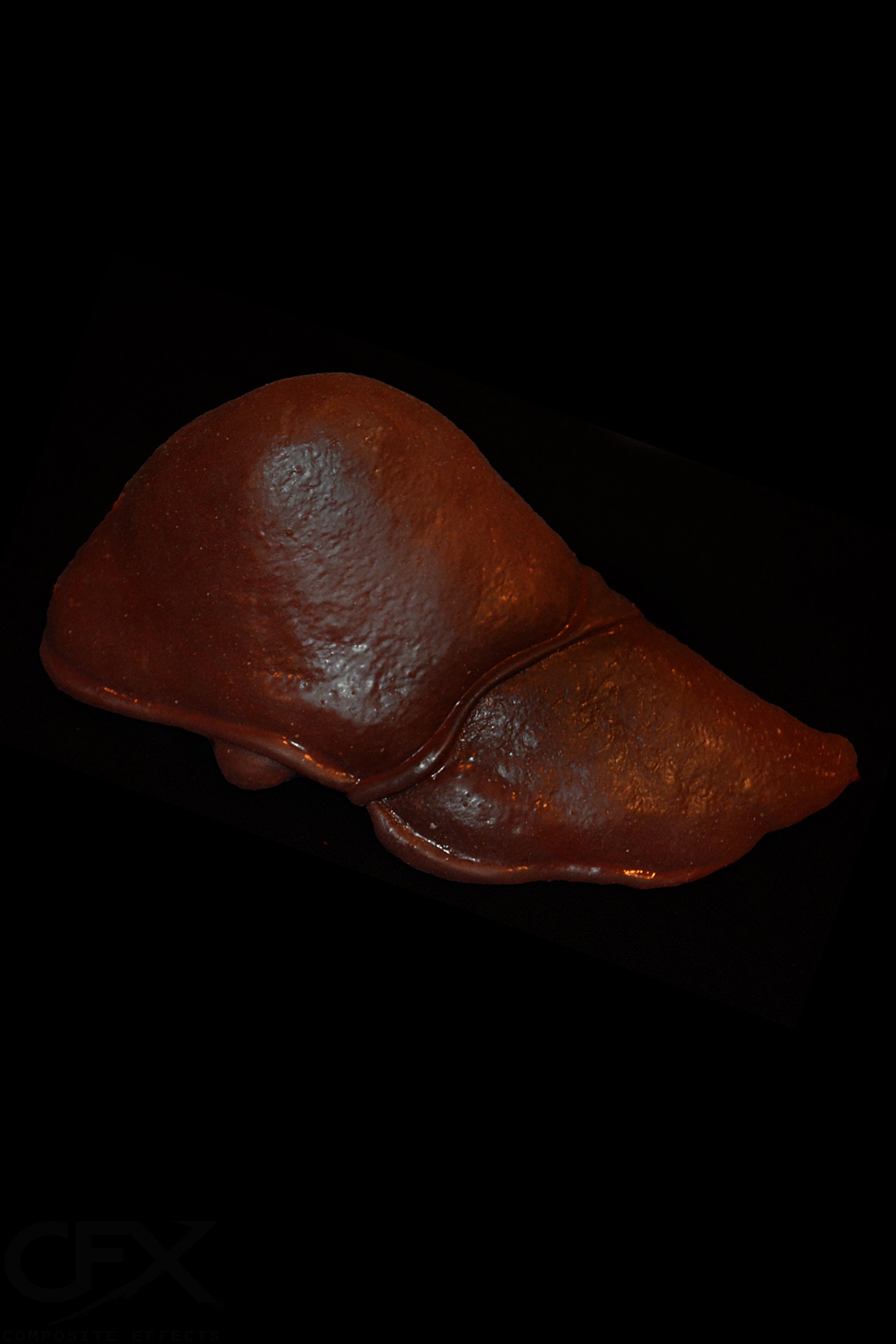 Liver (Silicone)