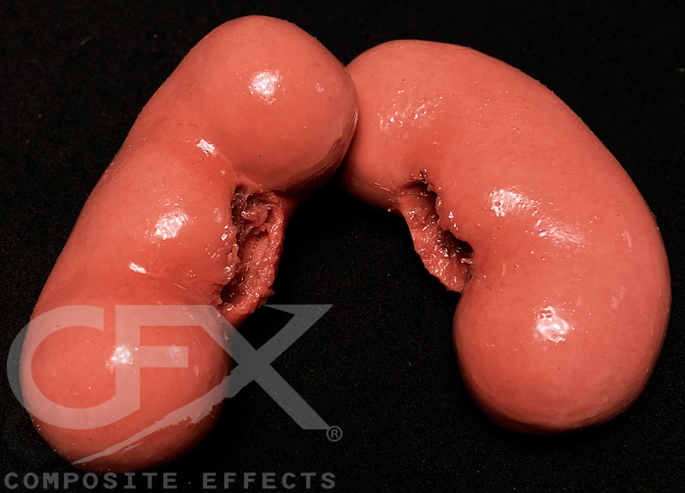 Kidneys - Pair (Silicone) - Image 2