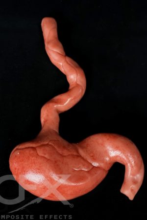 Sil-Gib-Stomach-1.jpg https://rhinowebllc.com/cfx-masks/wp-content/uploads/2024/08/Sil-Gib-Stomach-1-300x450.jpg