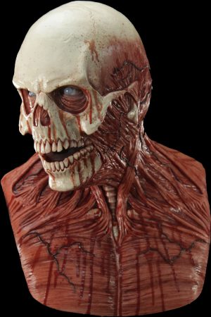 https://rhinowebllc.com/cfx-masks/wp-content/uploads/2024/10/Yorick-cover-4x6-1-300x450.jpg