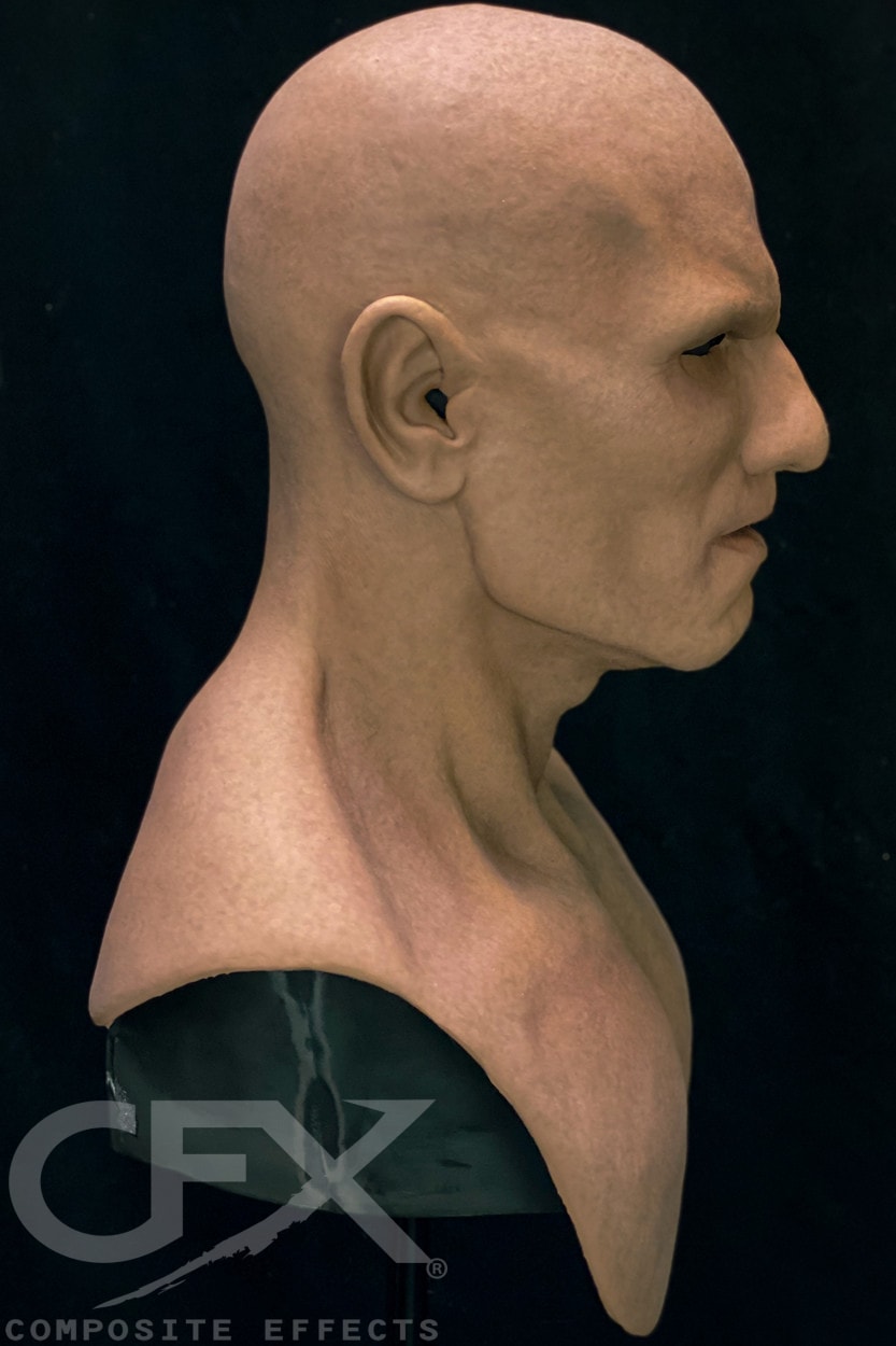 Arnold-African-Tan-4.jpg
