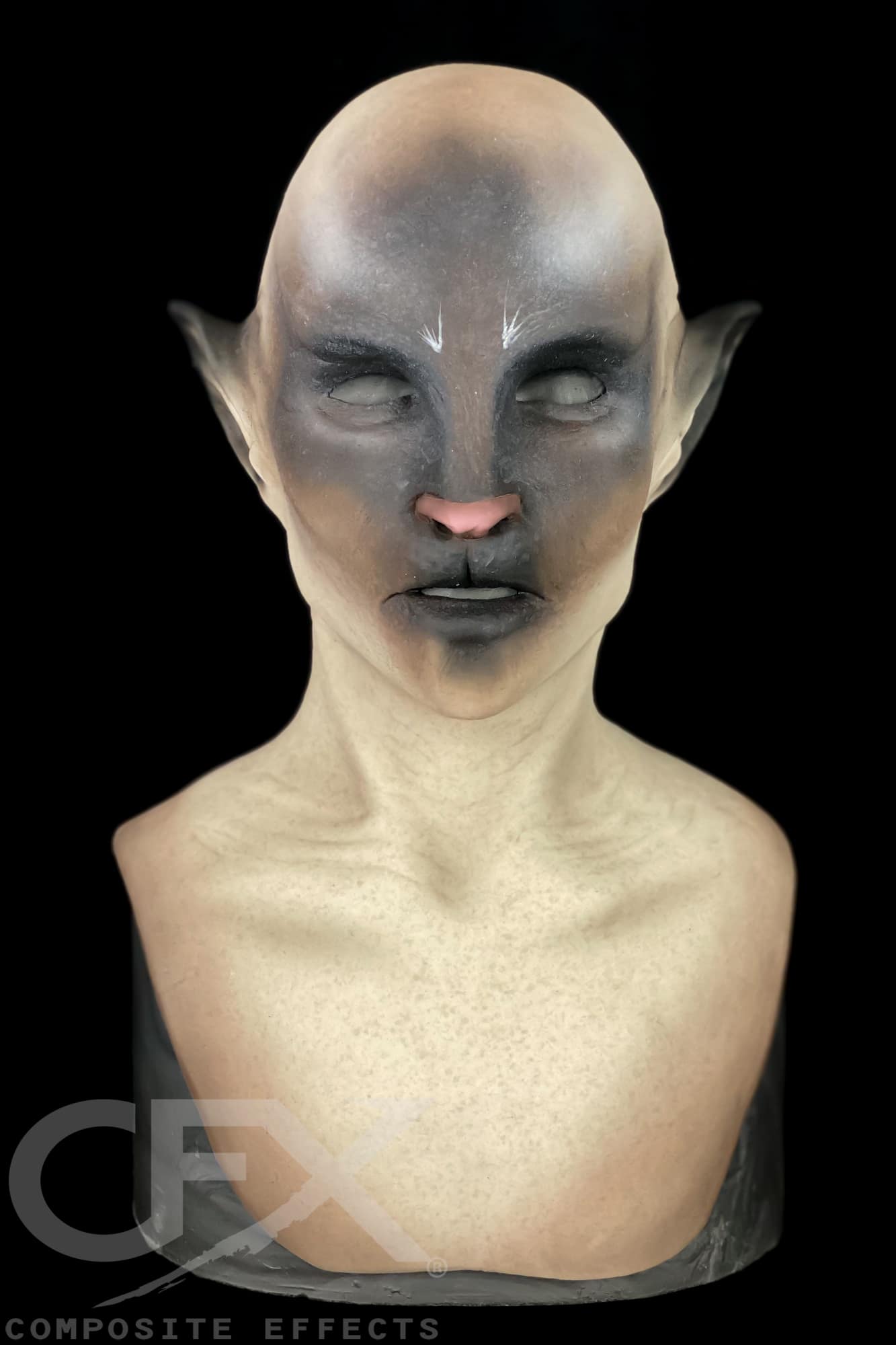 Siamese-Bast-1.jpg