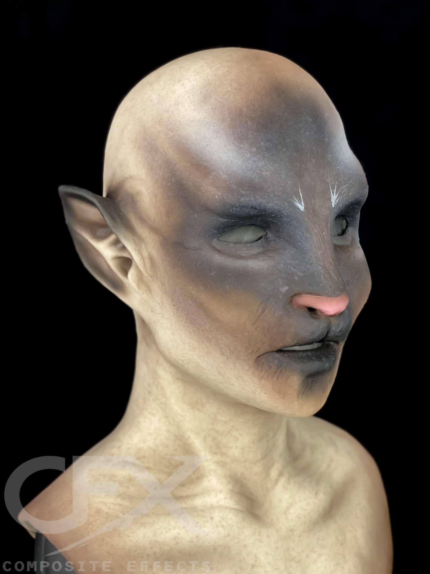 Siamese-Bast-10.jpg